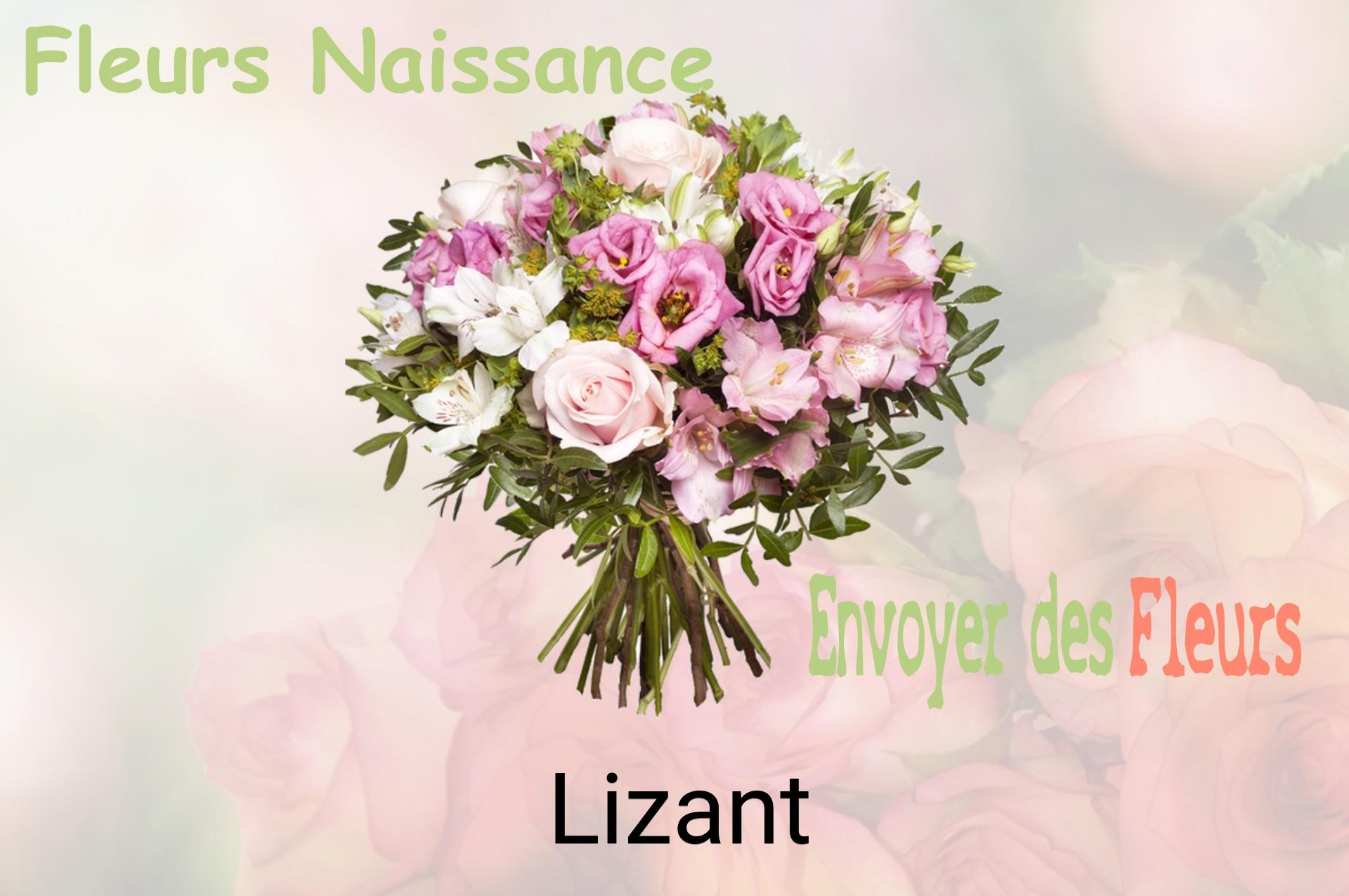 Bouquet de fleurs de naissance livré à Lizant